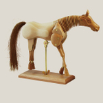 Model hestur