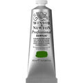 Professional Akrýl 60ml Chromium Oxide Green s.3