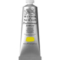 Professional Akrýl 60ml Lemon Yellow S.2
