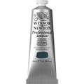 Professional Akrýl 60ml Payne's Gray S.1