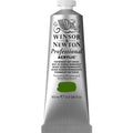 Professional Akrýl 60ml Permanent Sap Green S.3