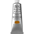 Professional Akrýl 60ml Raw Umber Light S.1